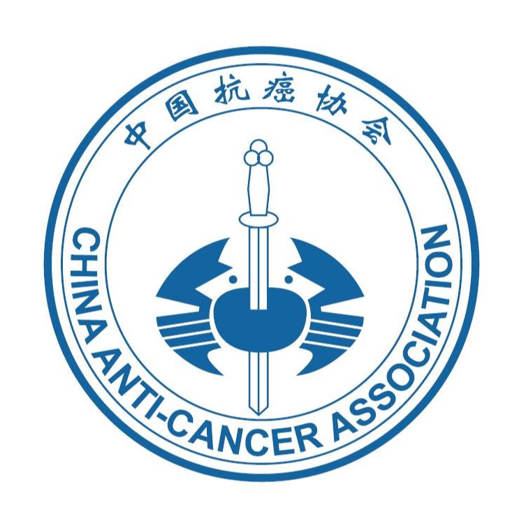 加拿大28